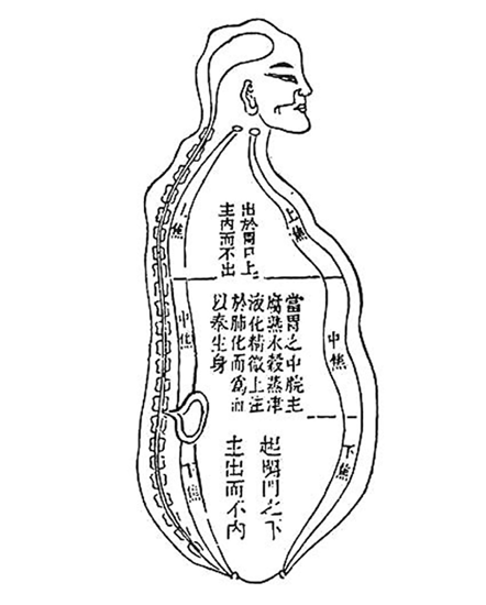 《황제내경》의 삼초가장 오래 된 중국의 의학서로서 소문(素問)과 영추(靈樞)로 구분된다. 인체의 장기 가운데 오장육부의 기능과 위치를 철학적인 개념을 통하여 삼초(三焦)에 근거하여 3등분으로 구분하였다.