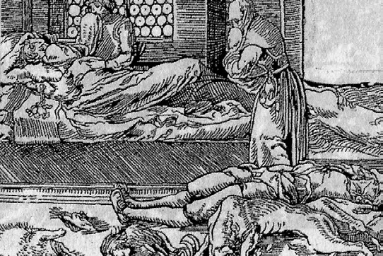 한스 발데즈의 저서 《전염병 치료》(1520). 전염병인 페스트가 만연해 사람과 가축이 죽어가는 가운데 아무런 손을 쓰지 못하고 있는 의사의 모습을 묘사했다.