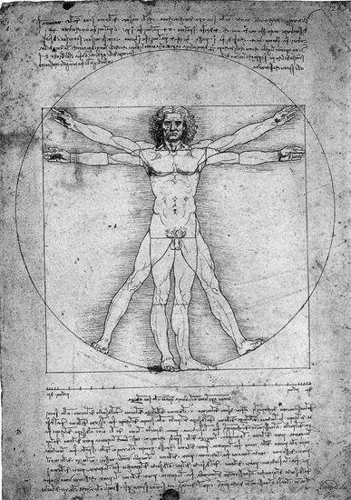 다빈치의 인체비례도. 비트루비우스(Vitruvius)는 비례, 대칭, 형식미를 강조했던 로마의 유명한 건축가였다. 그는 다빈치의 요청에 의해 인체해부도를 그렸다고 한다.