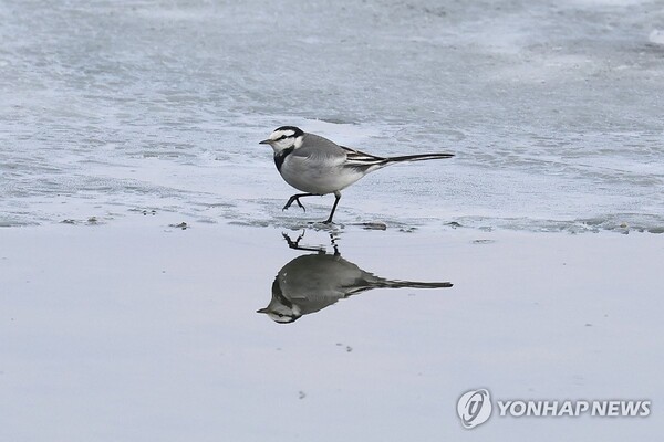 [날씨] 우수에도 ‘영하의 아침’…낮엔 봄 기운, 일교차 15도 넘는다
